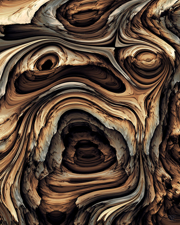 Driftwood 7 Digital Art by Vic Eberly