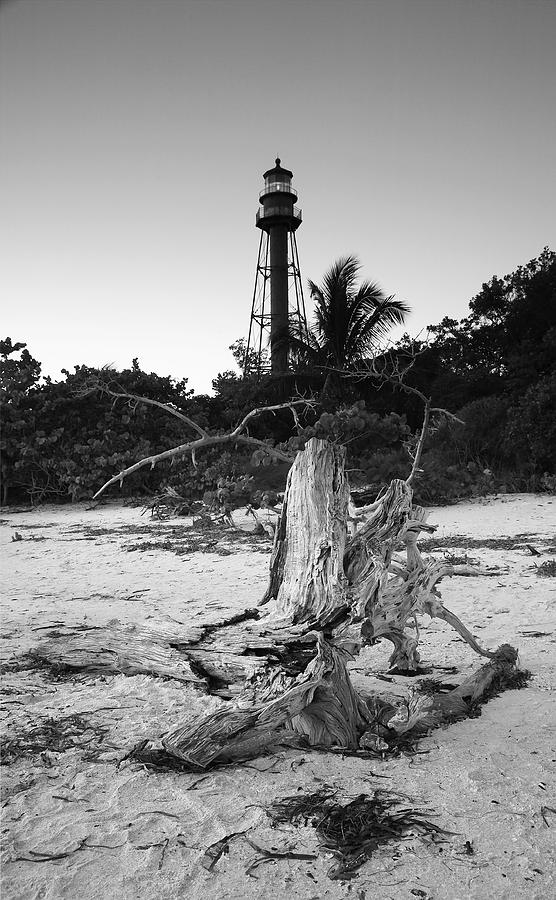 Driftwood and Lighthouse Photograph by Steven Ainsworth
