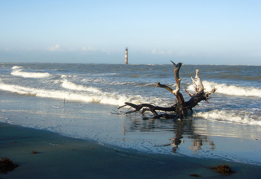 Driftwood and Morris Island Lighthouse Photograph by Ellen Tully
