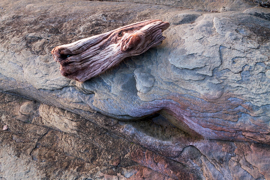 Driftwood and Sandstone Photograph by Michael Russell
