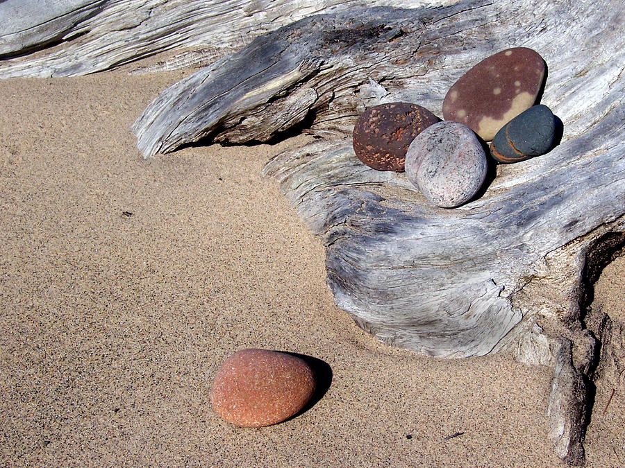 Driftwood and Stones Photograph by David T Wilkinson
