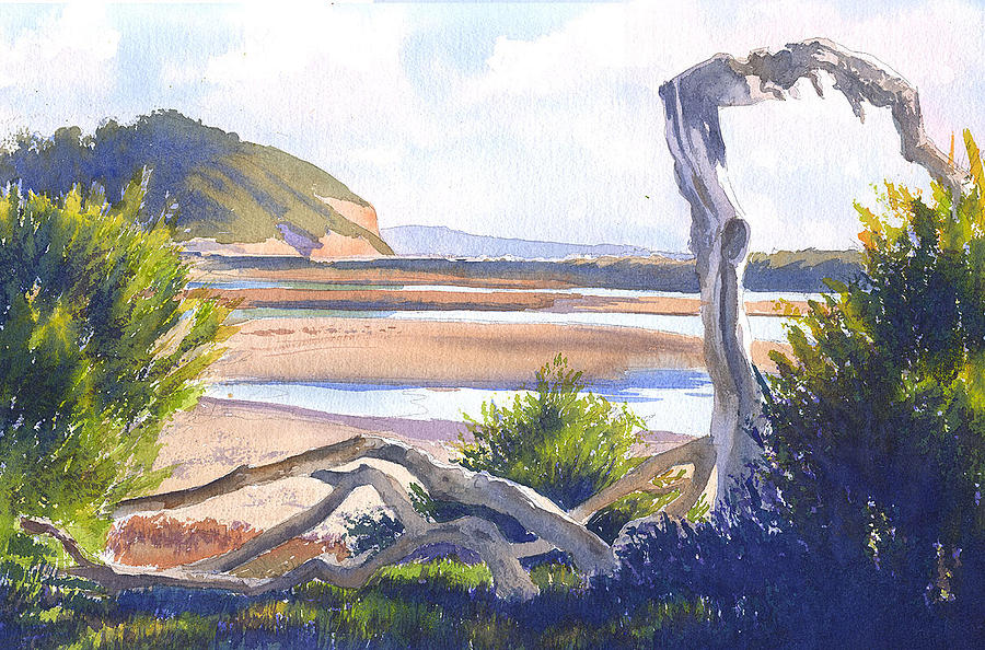 Driftwood at Torrey Pines Painting by Mary Helmreich