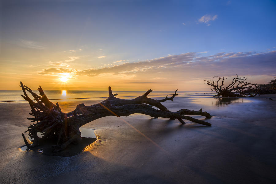 Beach Photograph - Driftwood Beach at Sunrise by Debra and Dave Vanderlaan