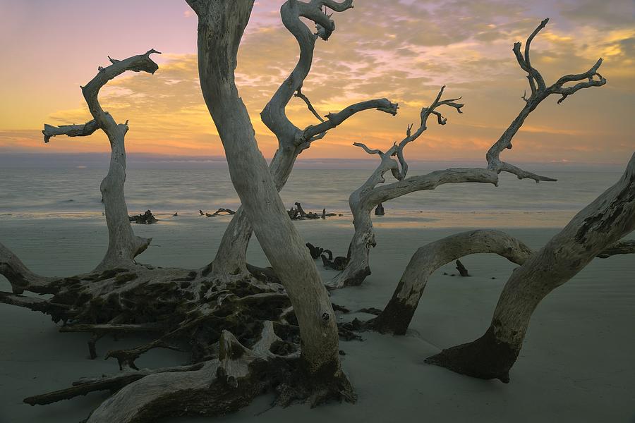 Beach Photograph - Driftwood Beach by Christian Heeb