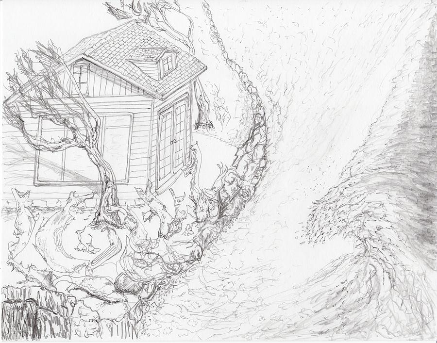 Driftwood Beach House Drawing by Jim Taylor