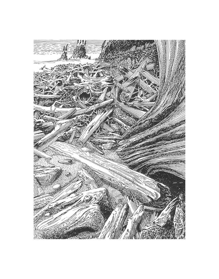 Ruby Beach Drawing - Critter in the Driftwood  by Jack Pumphrey