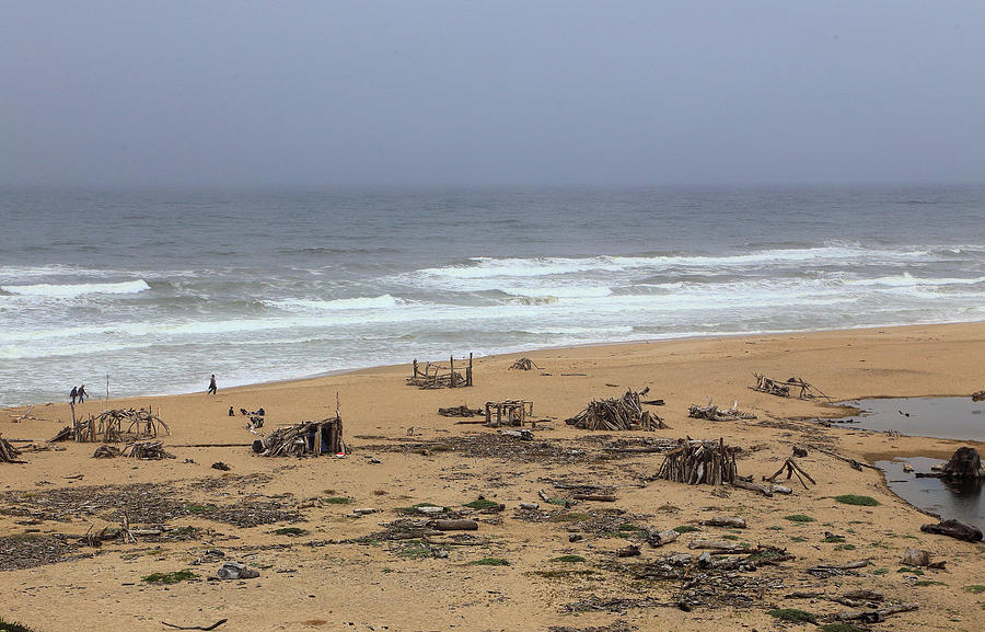 Driftwood Dwelling On the Beach Photograph by Viktor Savchenko - Fine ...