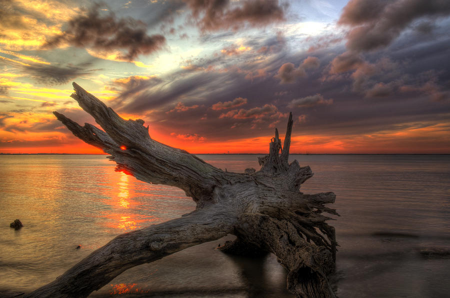 Sunset Photograph - Driftwood Eye of Fire by Greg and Chrystal Mimbs