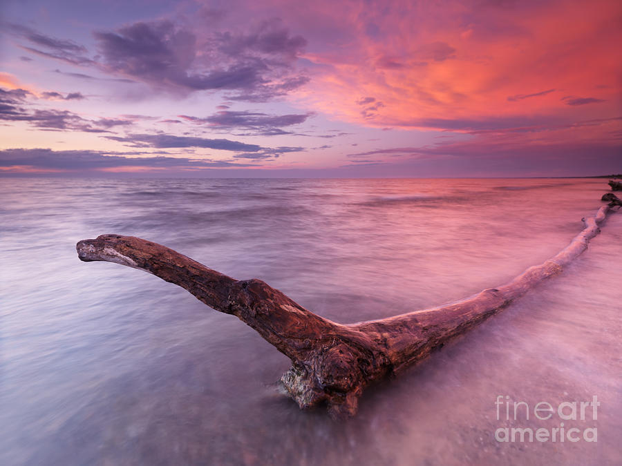 Driftwood in colorful sunset scenery at lake Huron Ontario Photograph by Maxim Images Exquisite Prints