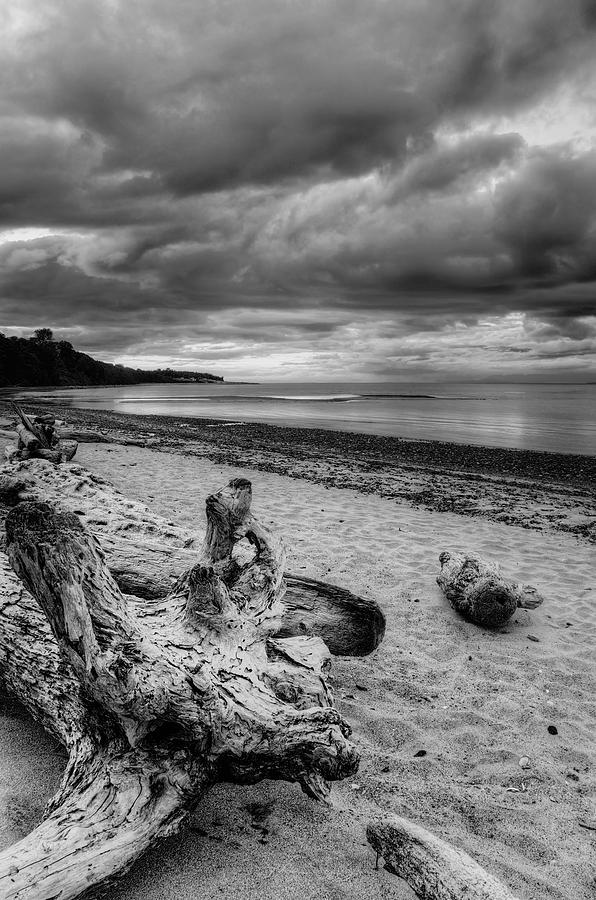 Black And White Photograph - Driftwood by Ken McAllister