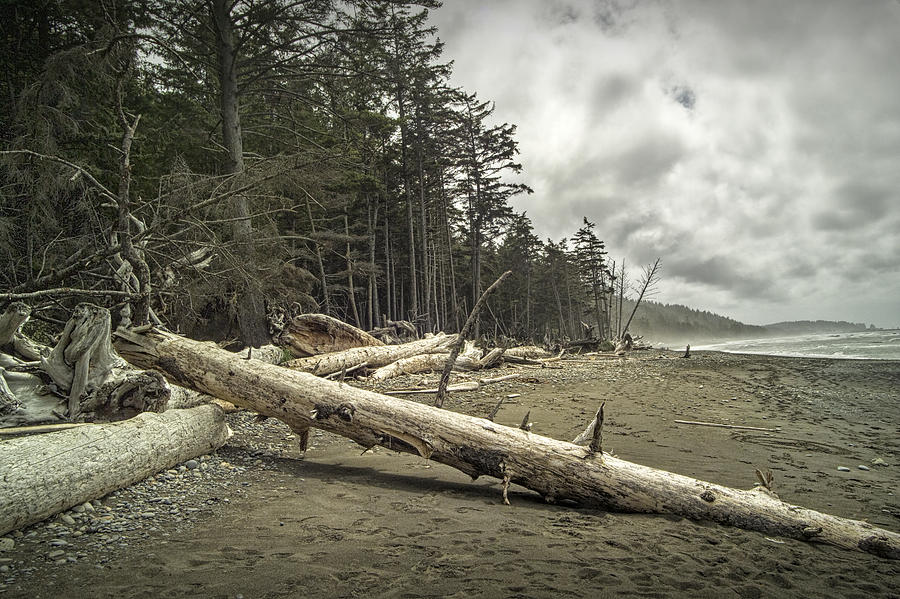 Olympic National Park Photograph - Driftwood on Rialto Beach in Olympic National Park No. 217 by Randall Nyhof