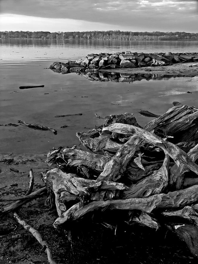 Driftwood. Potomac River Photograph by Bill Jonscher