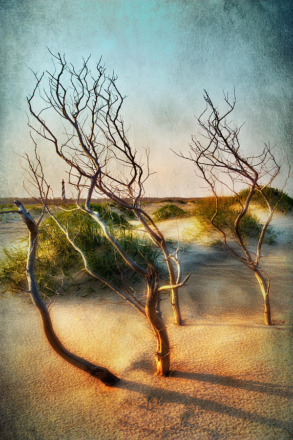 Driftwood Sand Dunes and Lighthouses II Painting by Dan Carmichael
