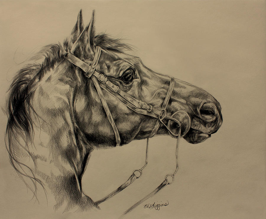 Horse Drawing - Drinking Horse Mountain by Derrick Higgins