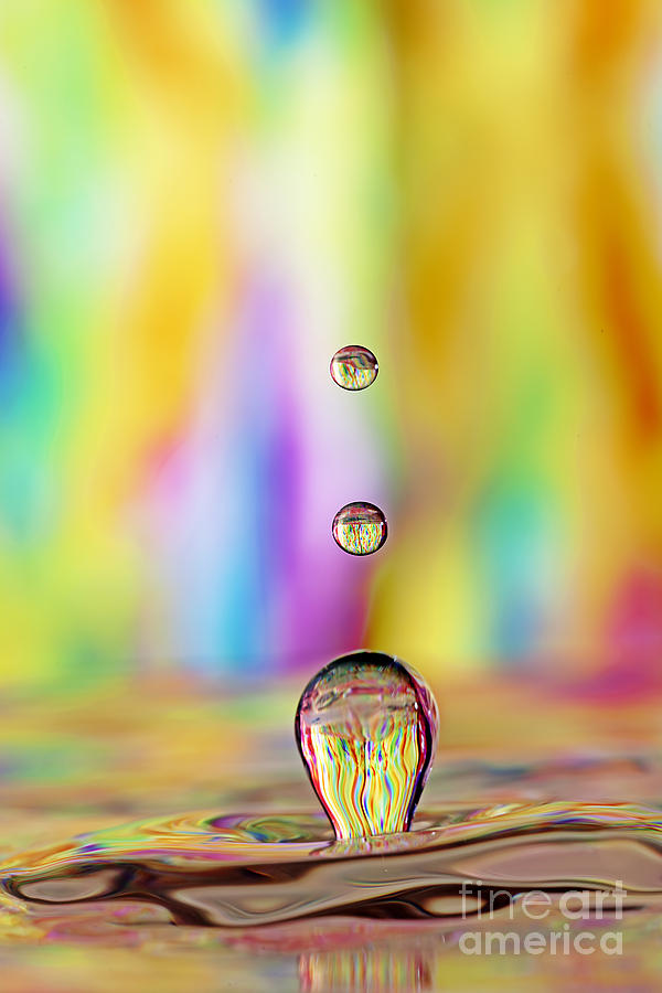 Drip Drip Drop Photograph by Darren Fisher