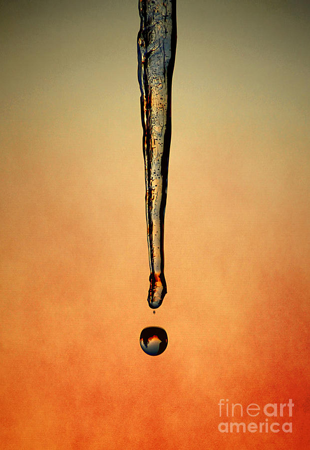 Drip Drop Photograph by Darren Fisher