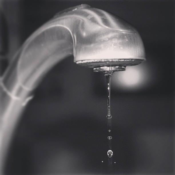 Drip, Drop, Drip...💦 Photograph by Sehal Shah