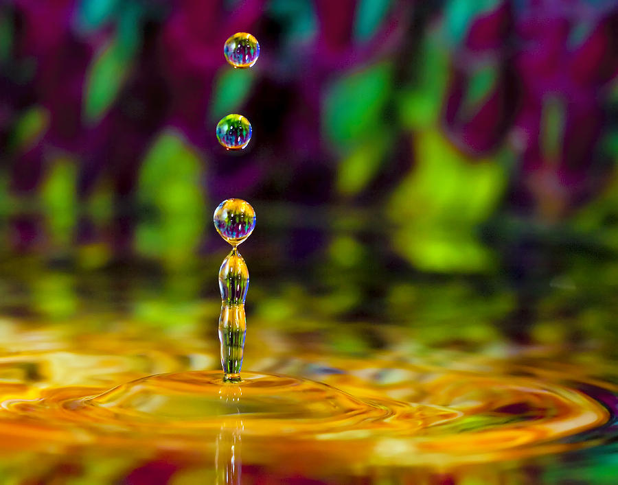 Drip Drop Photograph by Linda D Lester - Fine Art America