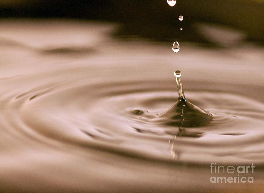 Drip Drop Photograph by Sandra Clark