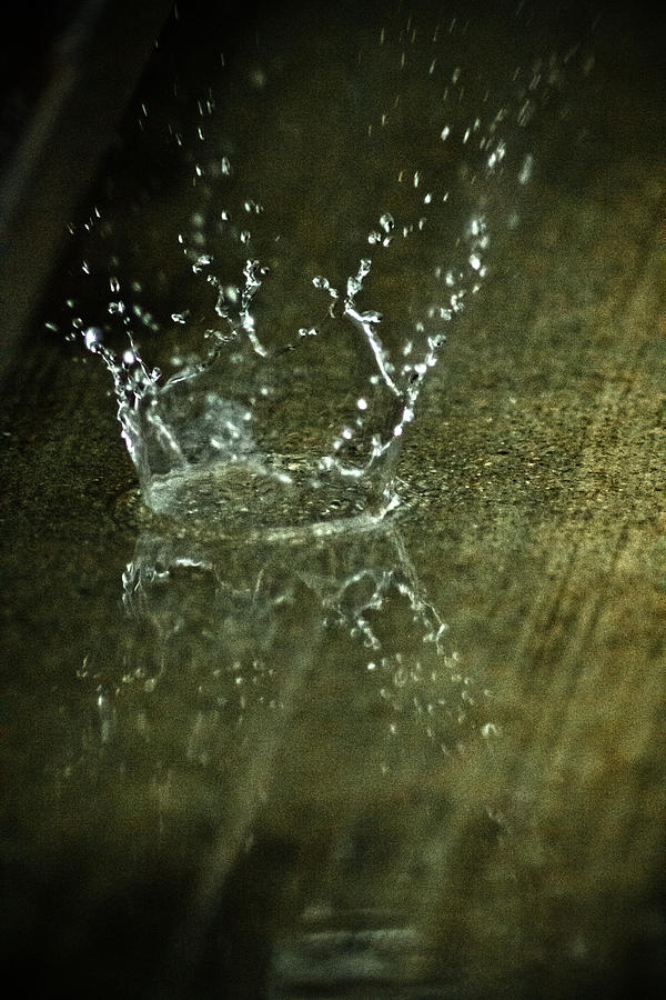 Drip Drop Splash Photograph by Joel Loftus