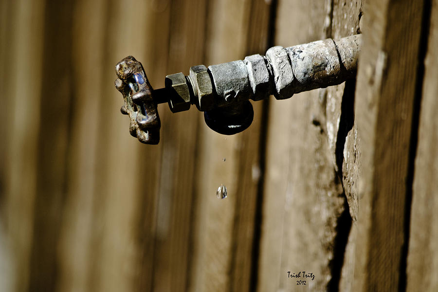 Faucet Photograph - Drip...Drip...Drip...Drip by Trish Tritz