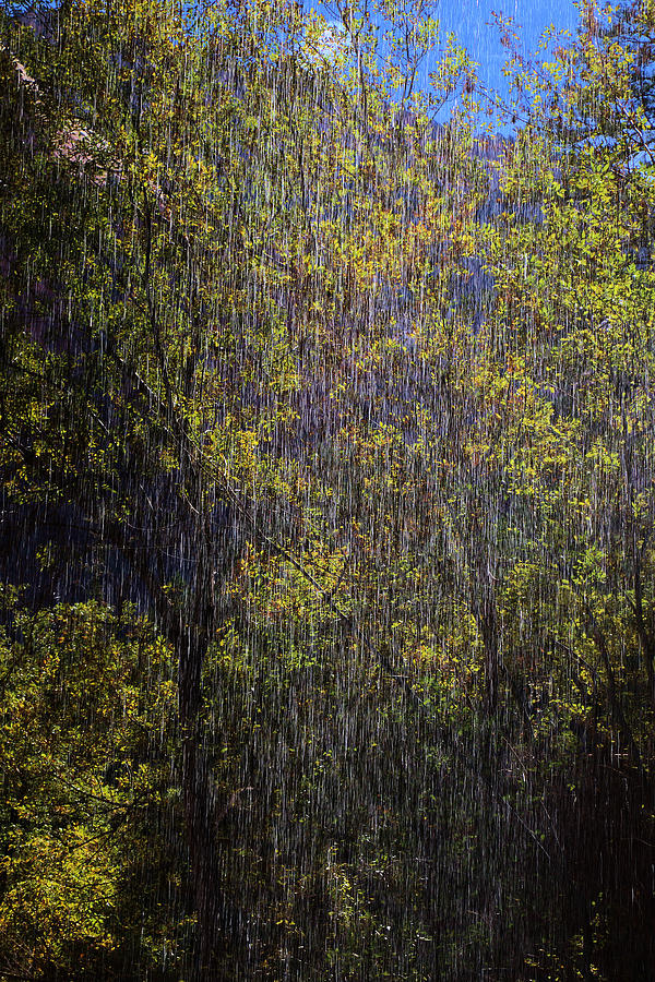 Dripping Water From Emerald Pool Trail Photograph by Viktor Savchenko