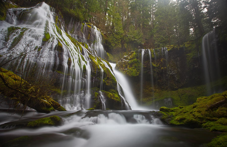 Waterfall Photograph - Dripping Wet by Darren White