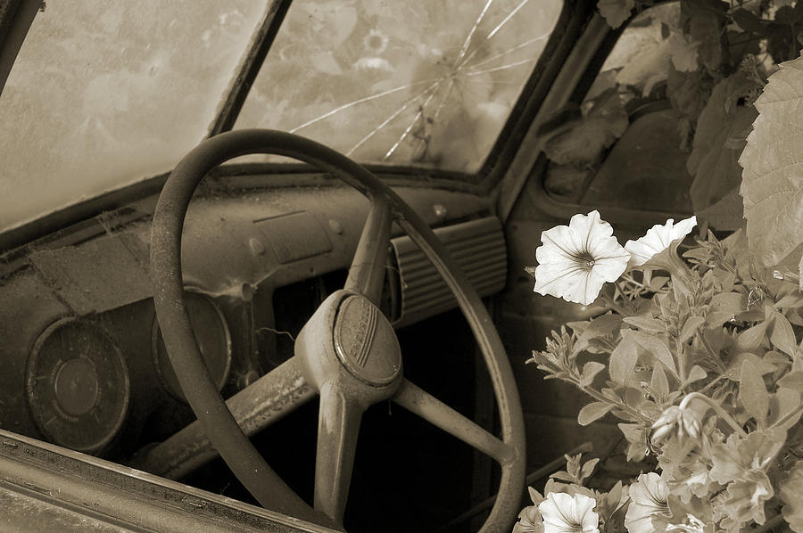 Driving Flowers Photograph by Arthur Fix