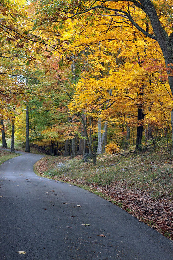 Driving Home Photograph by Jamie McBride - Fine Art America