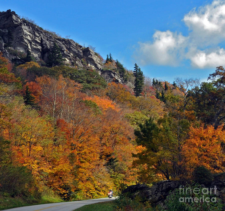 Driving Through Autumns Beauty   Photograph by Lydia Holly