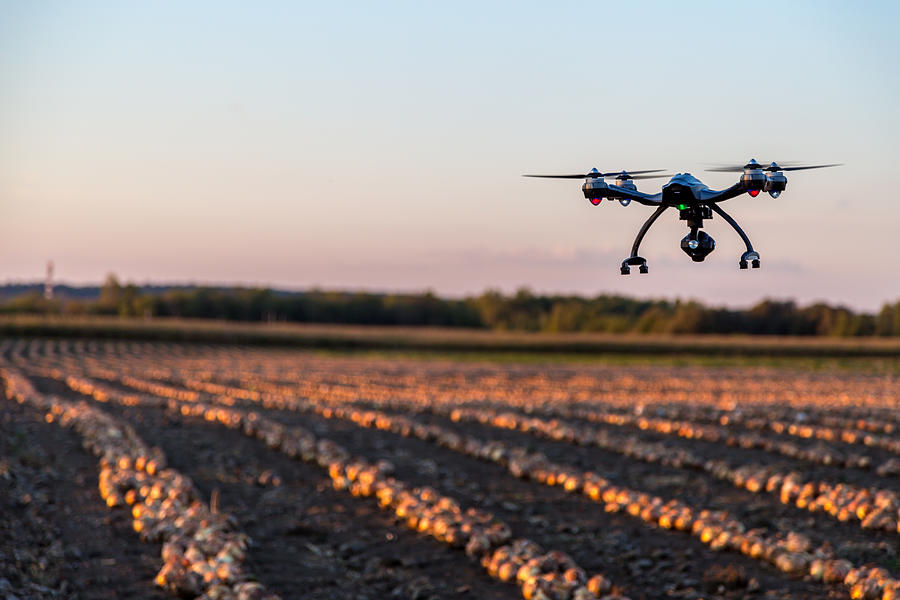 Drone Flying Over an Onions Field At Sunset Photograph by Onfokus