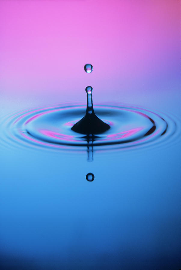 Drop Falling Into Water Photograph by Martin Dohrn/science Photo ...