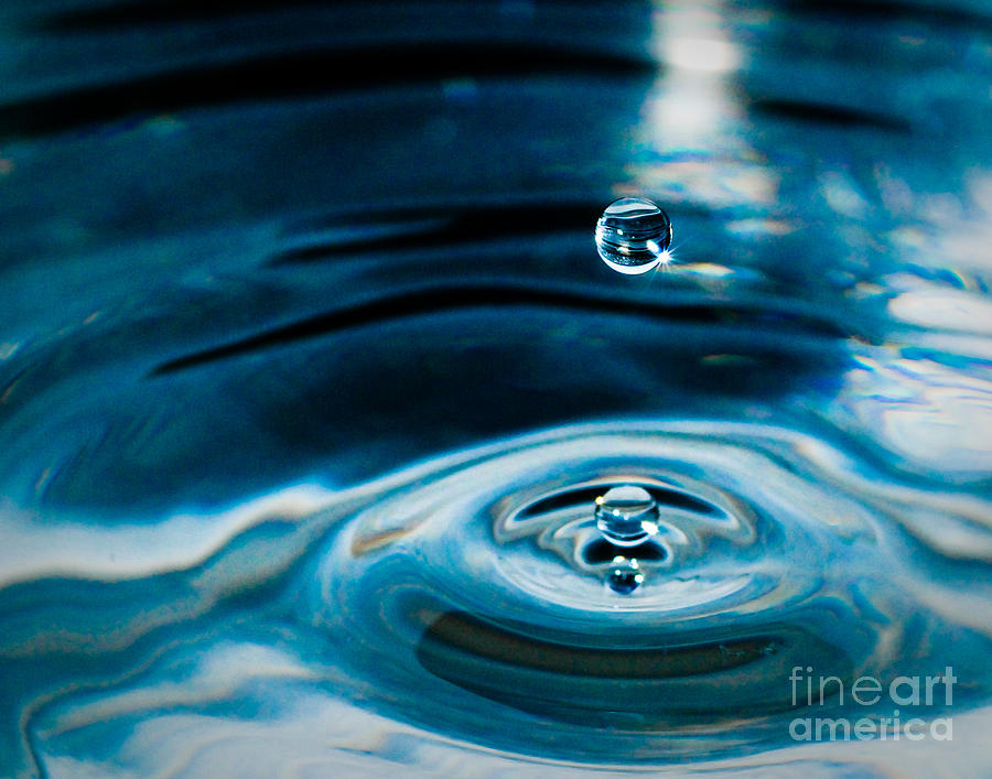 Nature Photograph - Drop in Time by Sonja Quintero