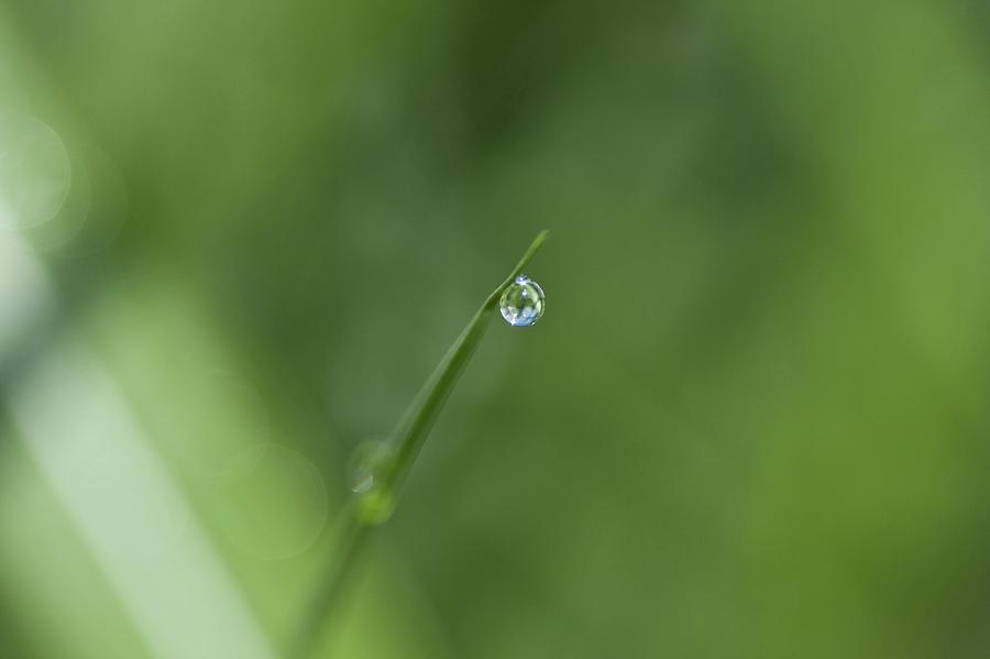 Droplet Photograph by Kb White
