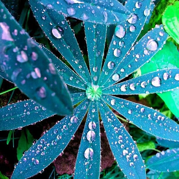 Cool Photograph - Droplets 21 by Eve Tamminen