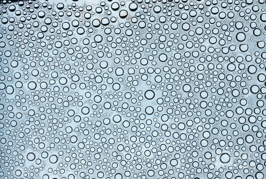 Droplets Photograph by Bill Longcore