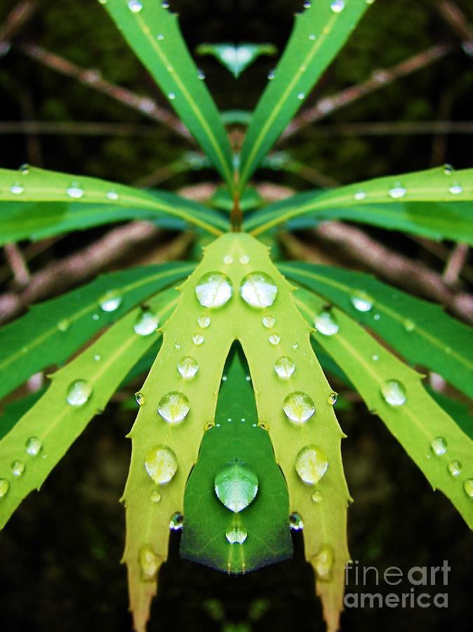 Nature Digital Art - Droplets by Lorles Lifestyles