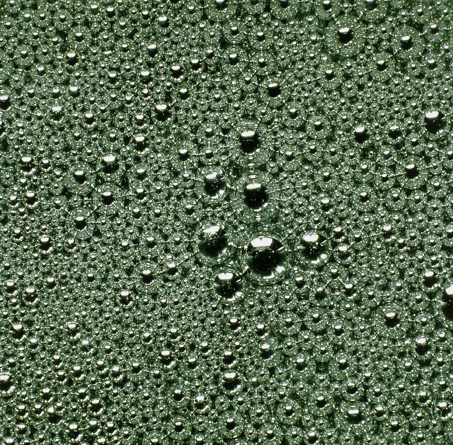 Droplets Of Mercury Photograph by Dr Jeremy Burgess/science Photo Library