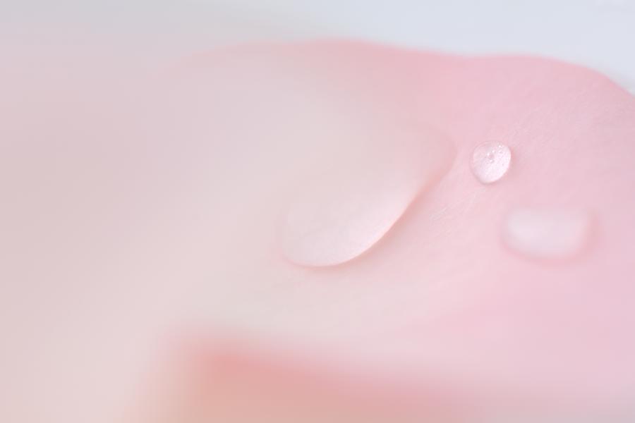 Drops of water and rose petal, extreme close-up Photograph by ZenShui/Michele Constantini