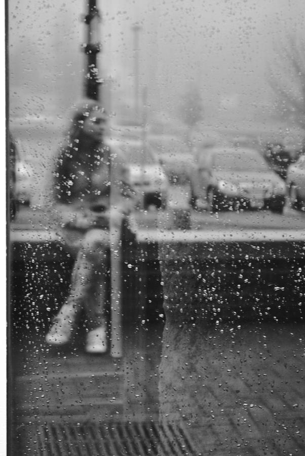 Black And White Photograph - Drops on a Window Black and White  by Amanda  Russell