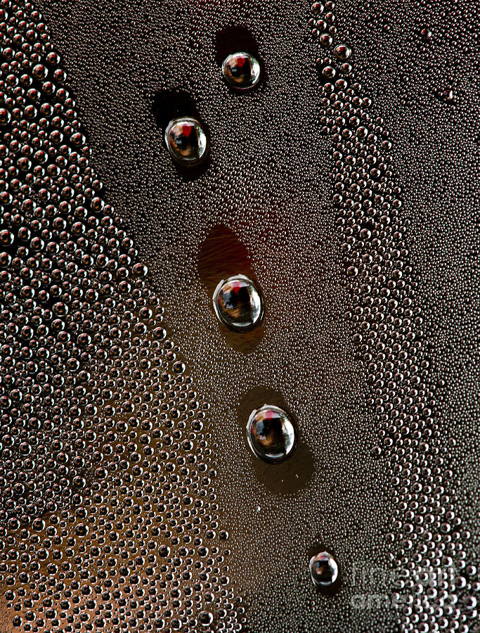 Drops on shiny surface Photograph by Jaroslaw Blaminsky