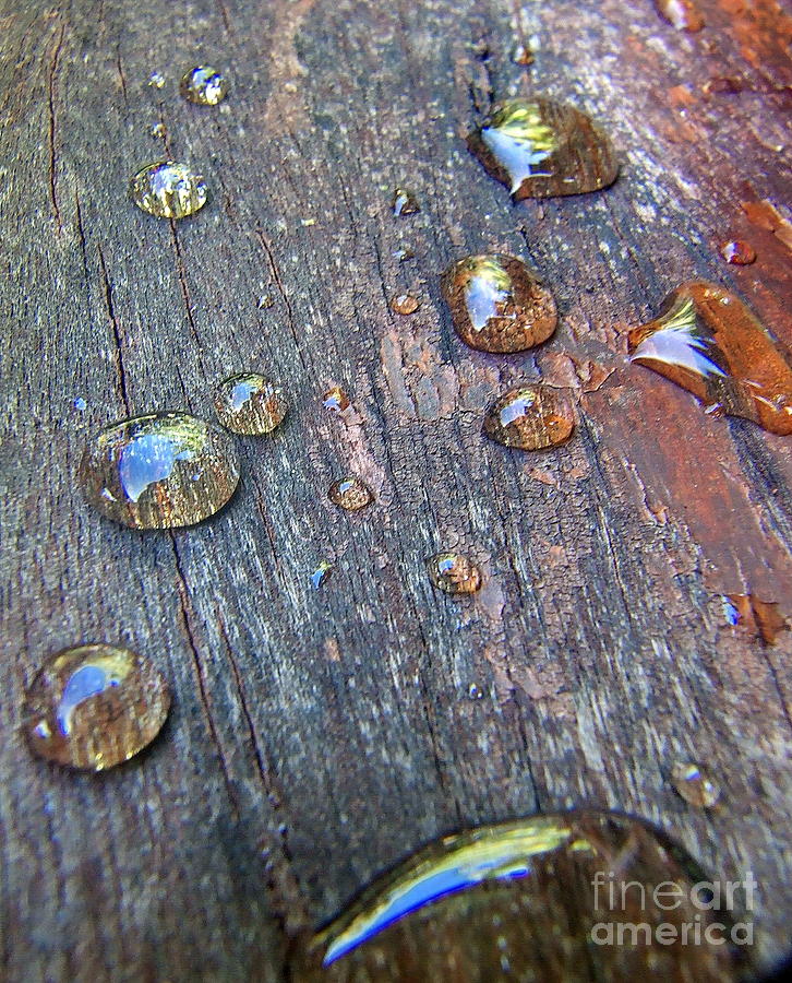 Abstract Photograph - Drops On Wood by Michelle Meenawong