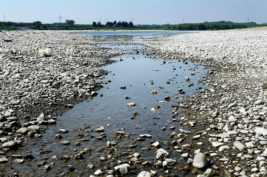 Drought Along The Meuse River Photograph by Christophe Vander Eecken/reporters/science Photo Library