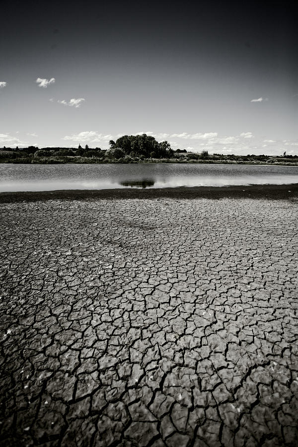 Drought Photograph by Bonnie Bruno
