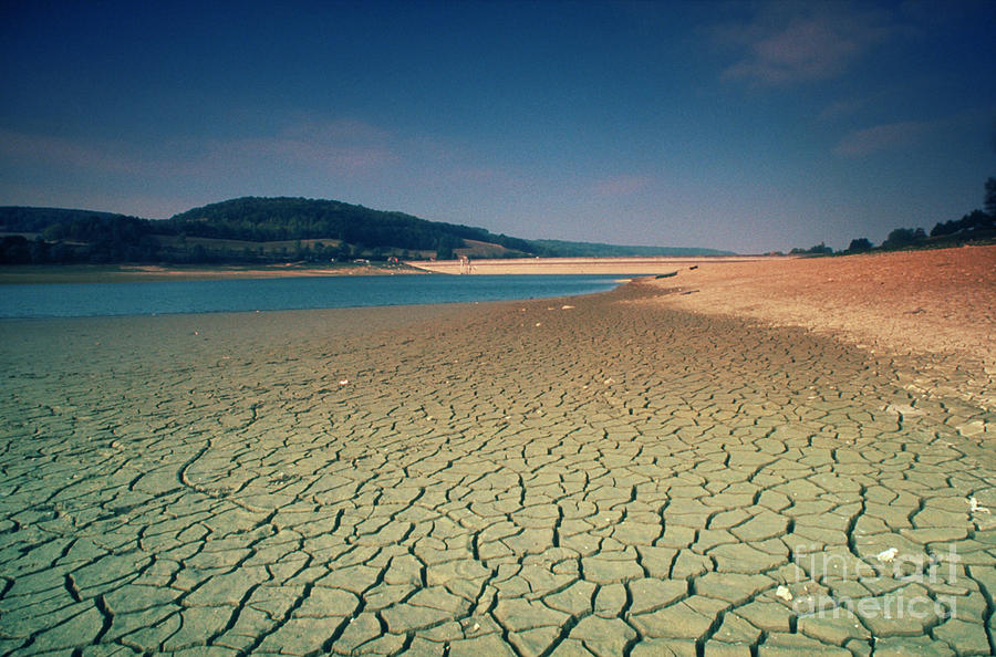 Drought Photograph by D Dorval