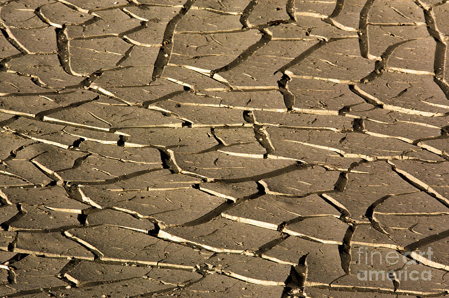 Abstract Photograph - Drought by Ron Sanford