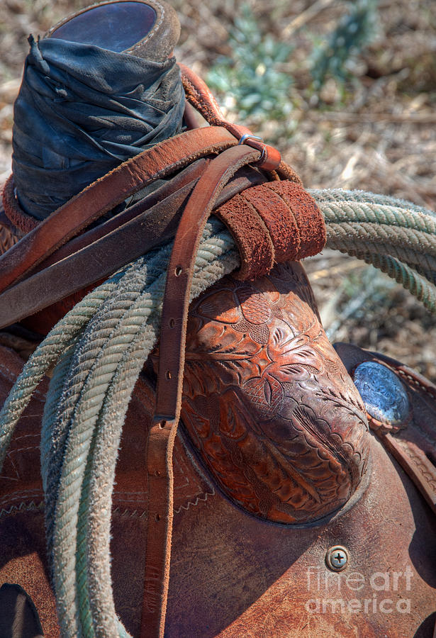 Drovers Tools CX Photograph by Fred Lassmann