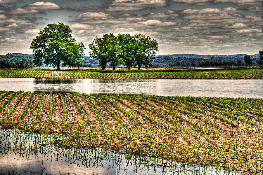 Drowning a Cornfield Photograph by William Fields
