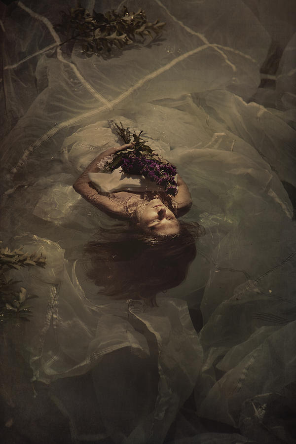 Flower Photograph - Drowning sorrow by Tammy Swarek