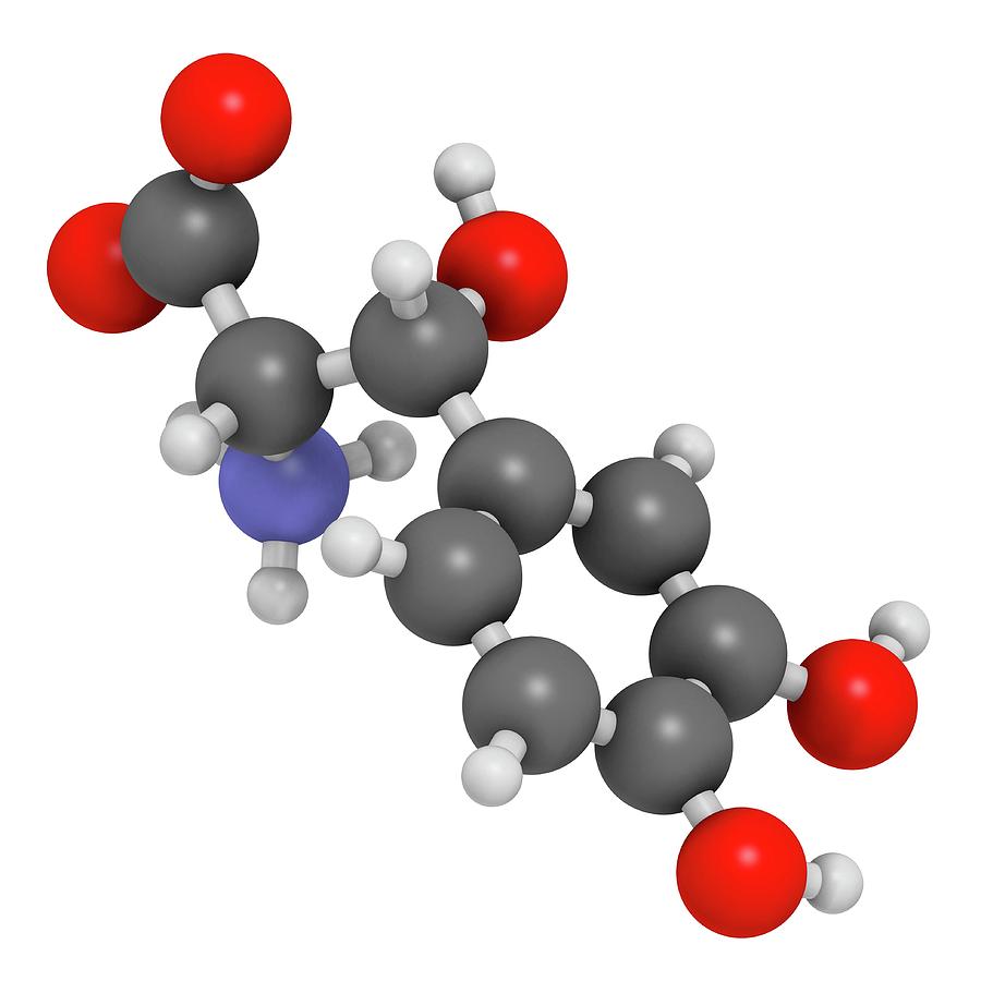 Droxidopa Hypotension Drug Molecule Photograph by Molekuul - Pixels